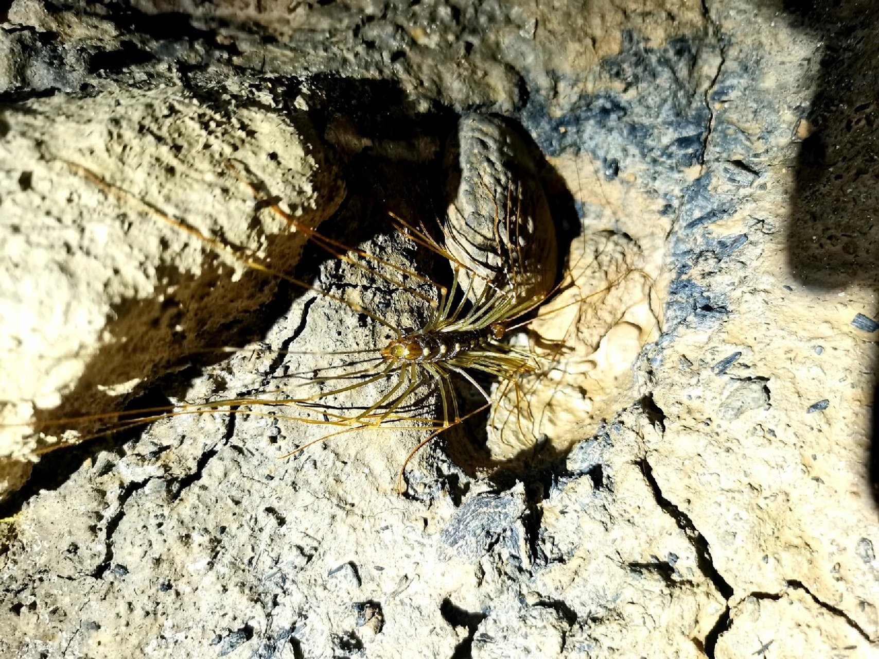 洞穴探险|江洲地下长廊 江洲地下长廊是唯一一个以"长廊"命名的洞穴