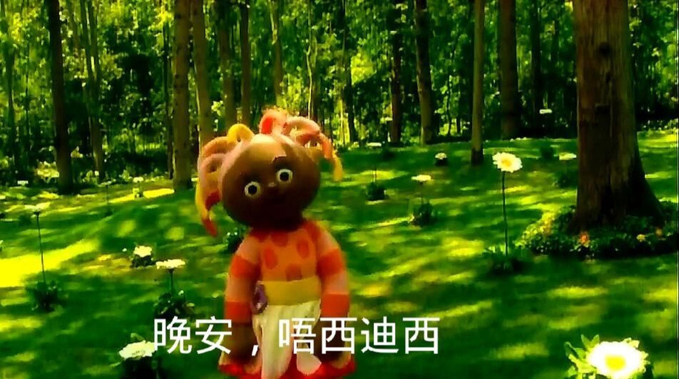 晚安唔西迪西,晚安玛卡巴卡,晚安依古比古,晚安汤姆布利波,晚安小点点