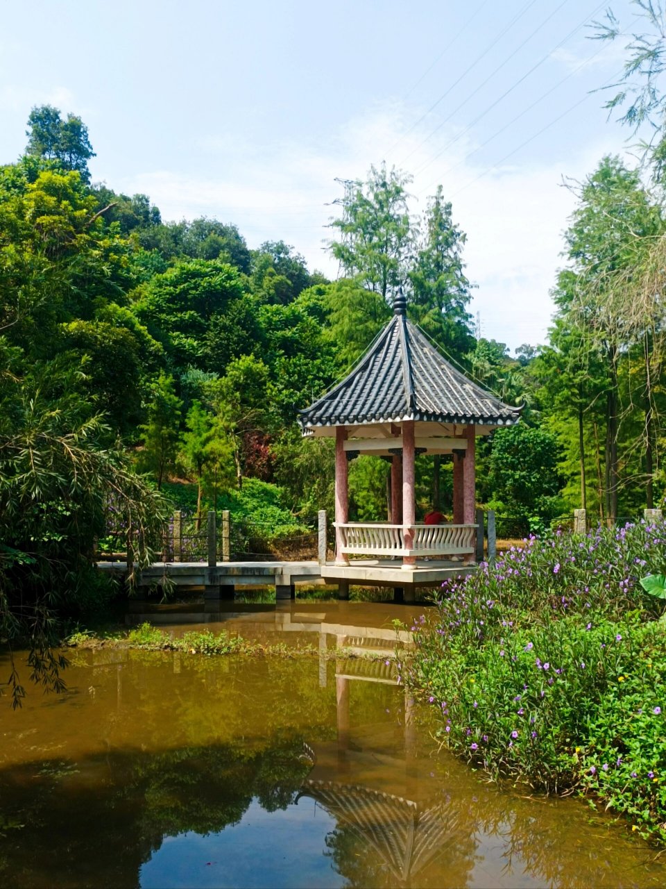 江门白水带风景区