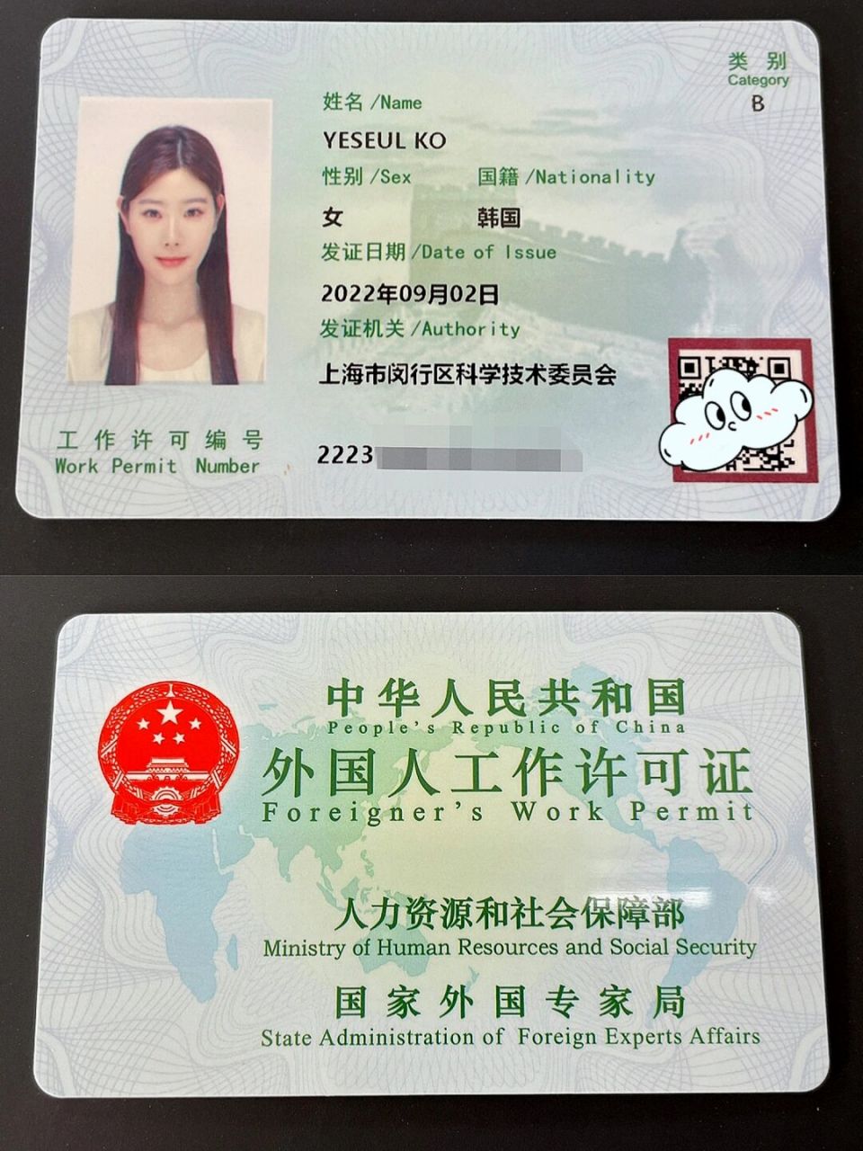 外国人工作许可证照片图片