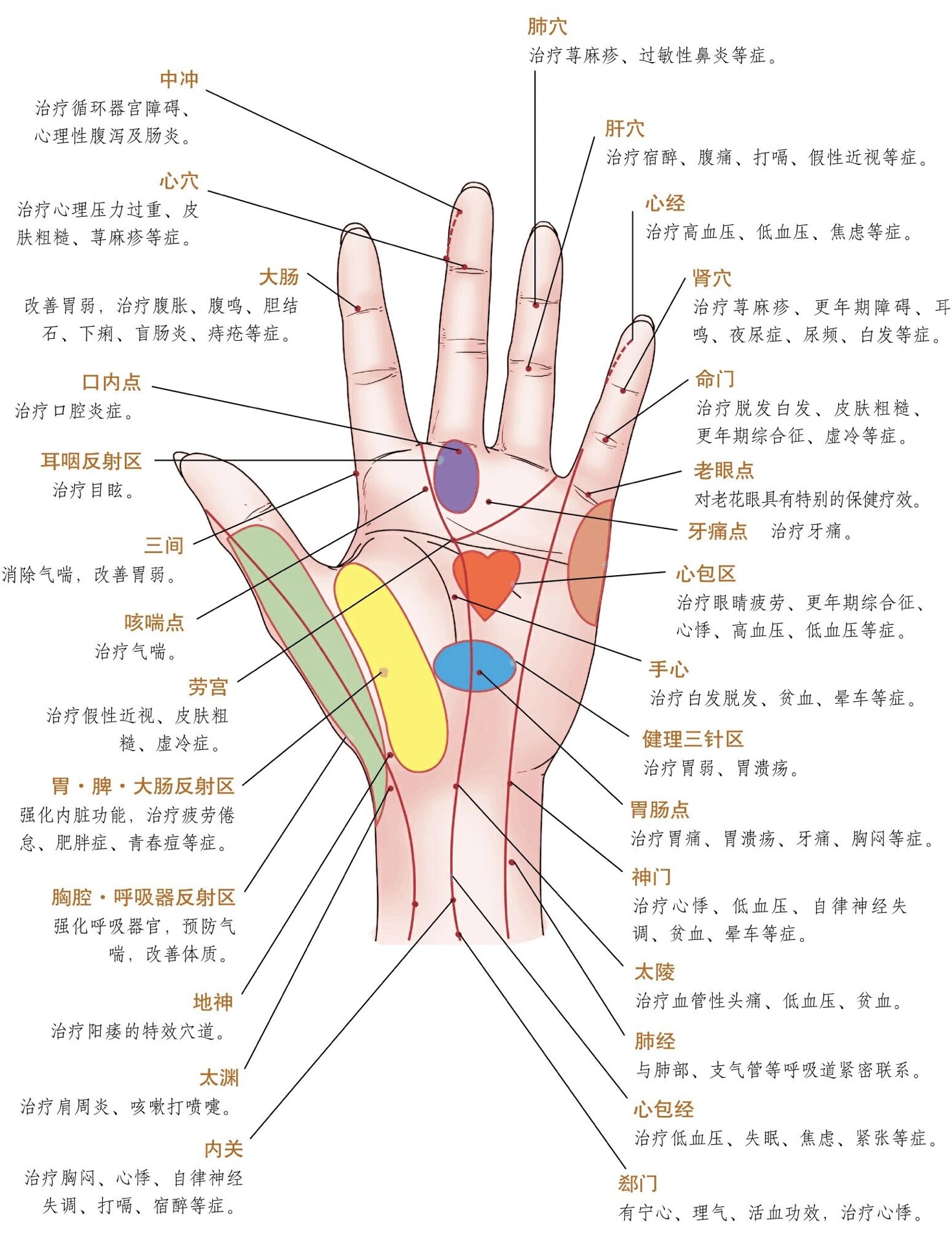 其中终始于手掌的经络