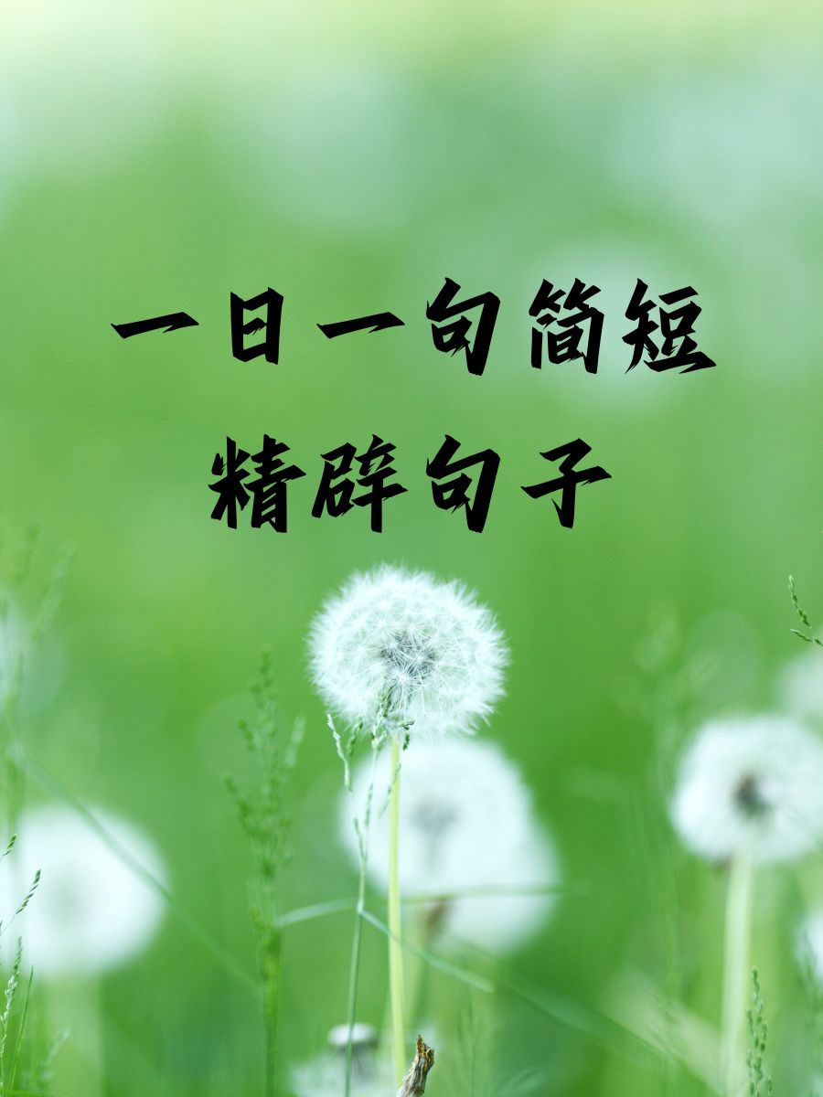 心有猛虎,细嗅蔷一日一句精美句子精辟每日一句精美句子每日一句配图