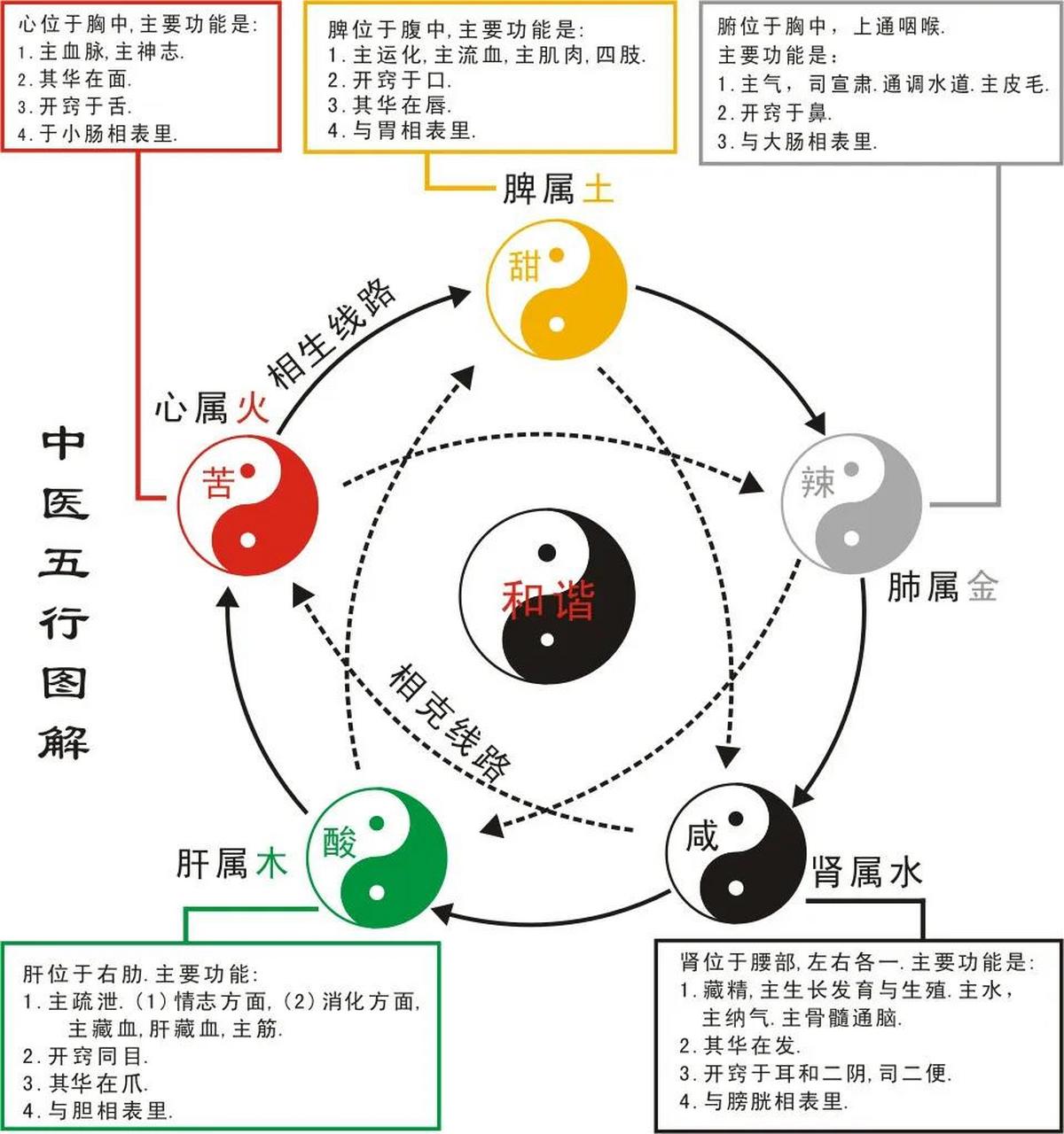 中医五行图