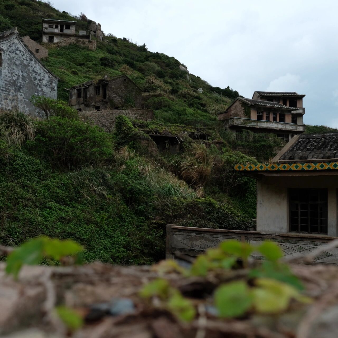 枸杞岛无人村闹鬼图片