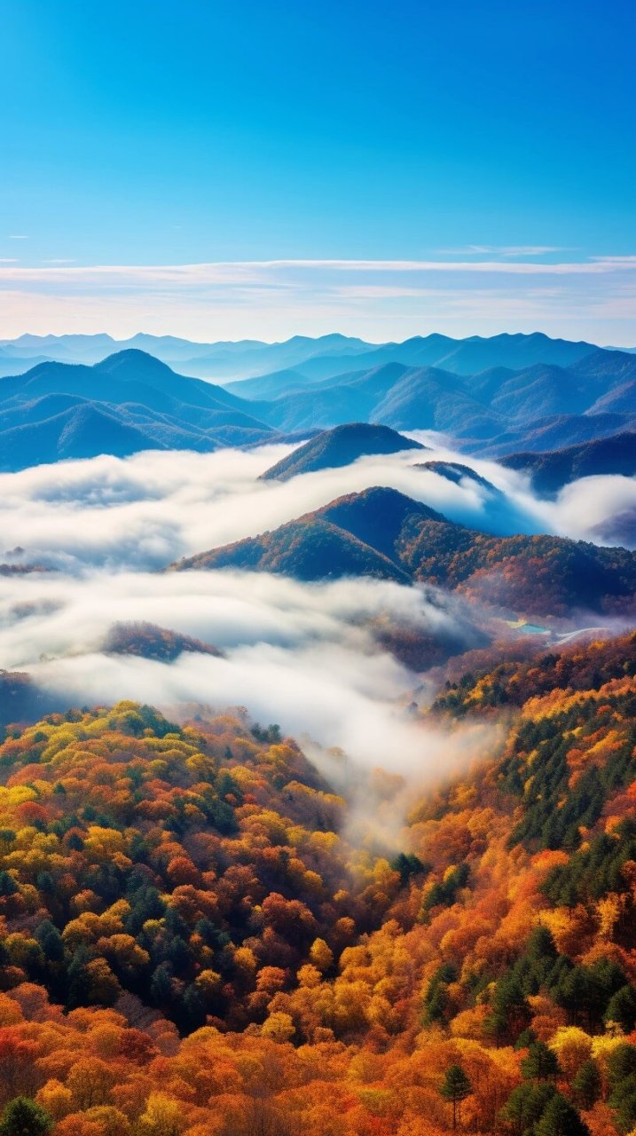 难得一见的风景 手机壁纸 风景壁纸