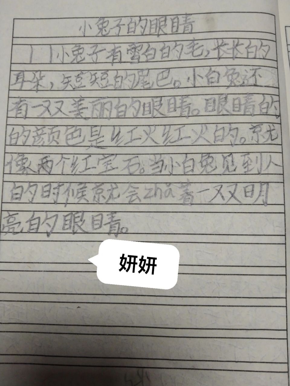二年级小练笔《小兔子的眼睛98》 用一两句话写小动物的眼睛