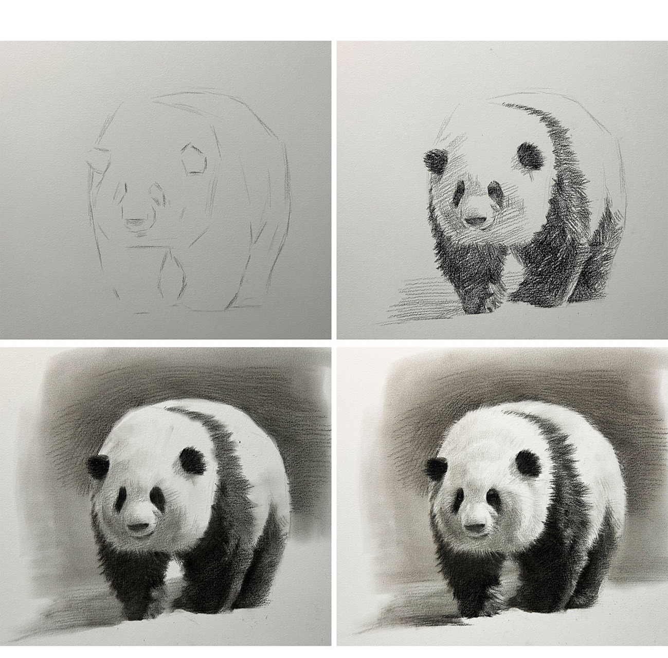 画画的日常# #素描# #素描教程# #素描动物# #熊猫# #大熊猫花花# 1