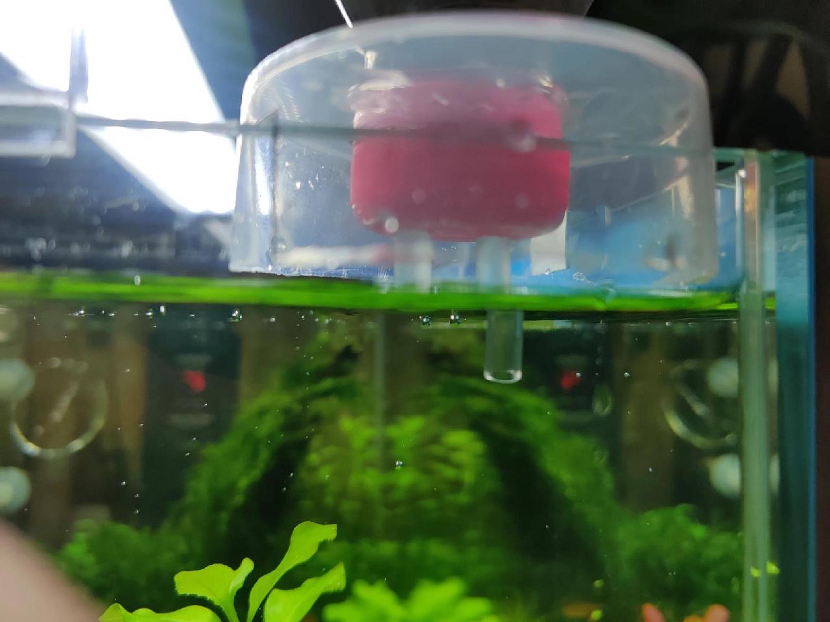 diy 零成本鱼缸自动补水器 第一篇,就发个刚做好的补水器吧!