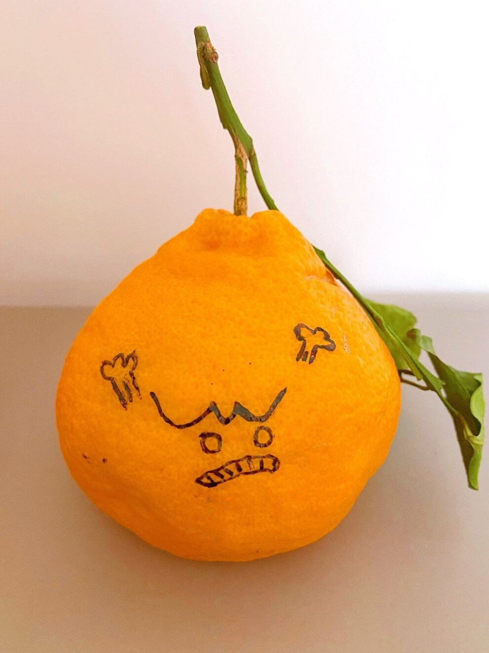拿家里的丑橘创作 画个水果表情包