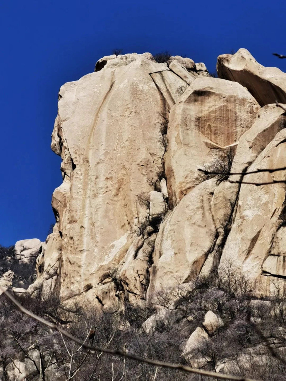 3月5日一起踏春赏花:鳞龙山-鹞子峪-水长城 94周日一起赏花踏青吧
