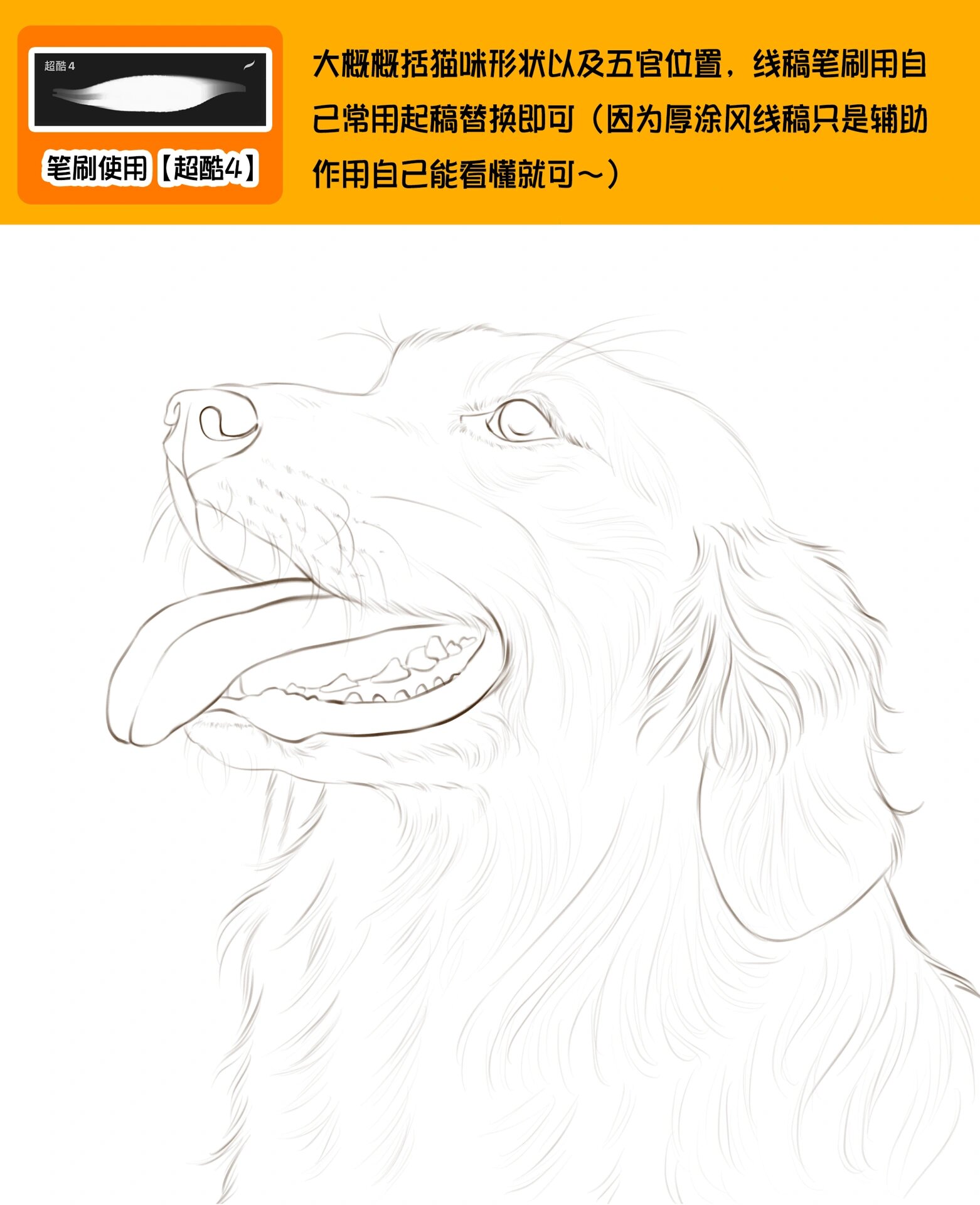 教程篇|教你画金毛呀