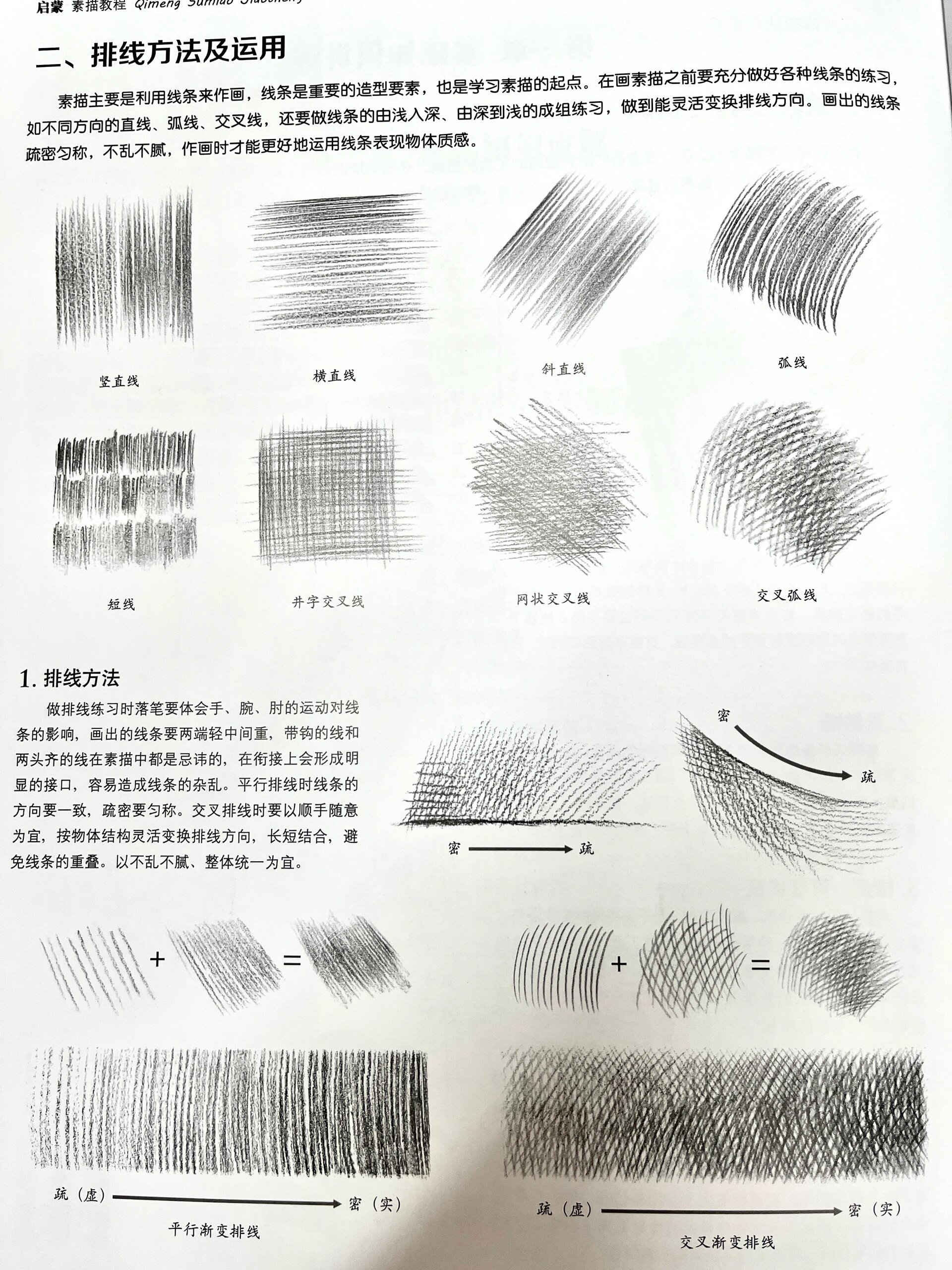 用这本书就够了7315 掌握了简单的素描基础