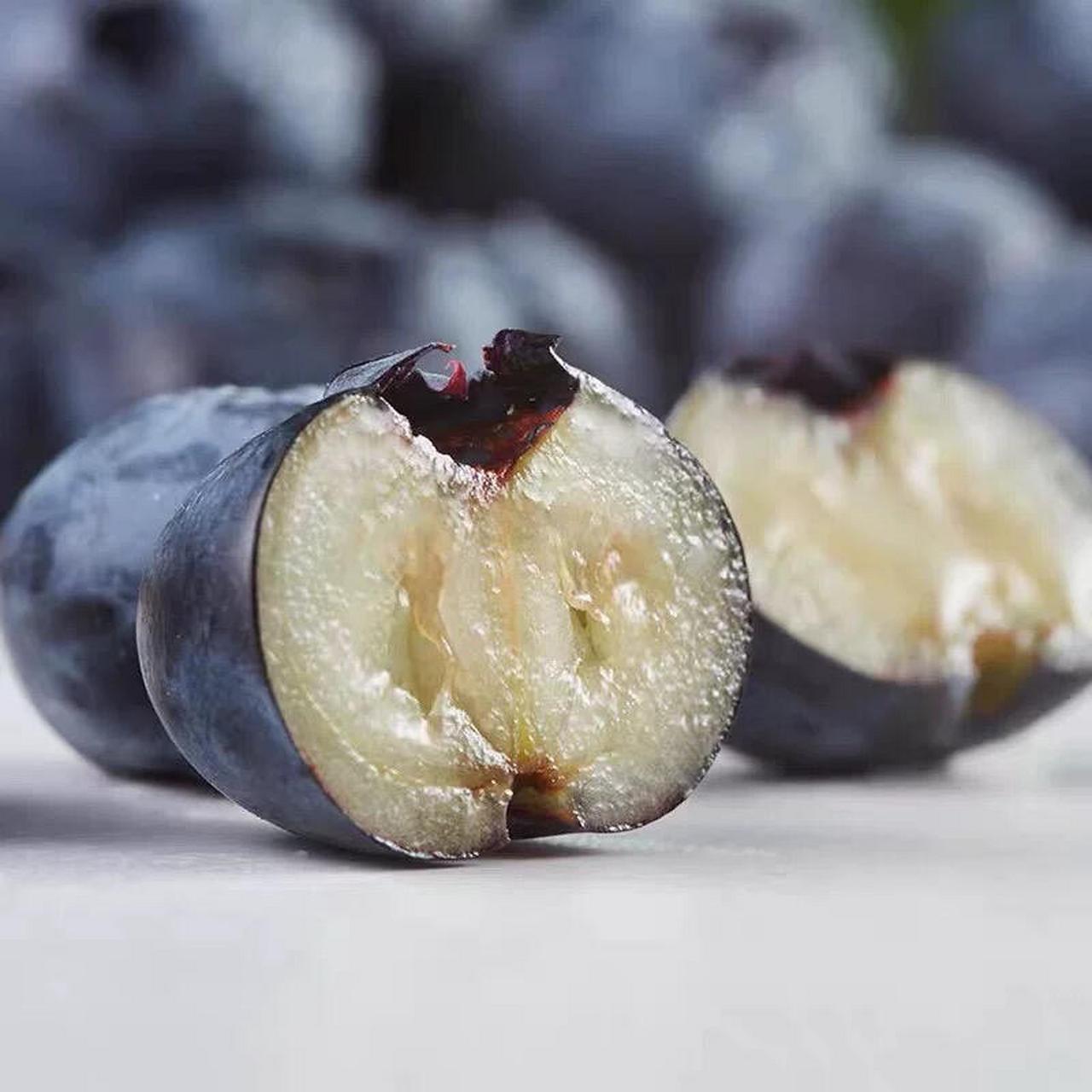 怡颗莓蓝莓08,带花香009,当季限量 :怡颗莓蓝莓又叫蓝巨人,使是怡颗