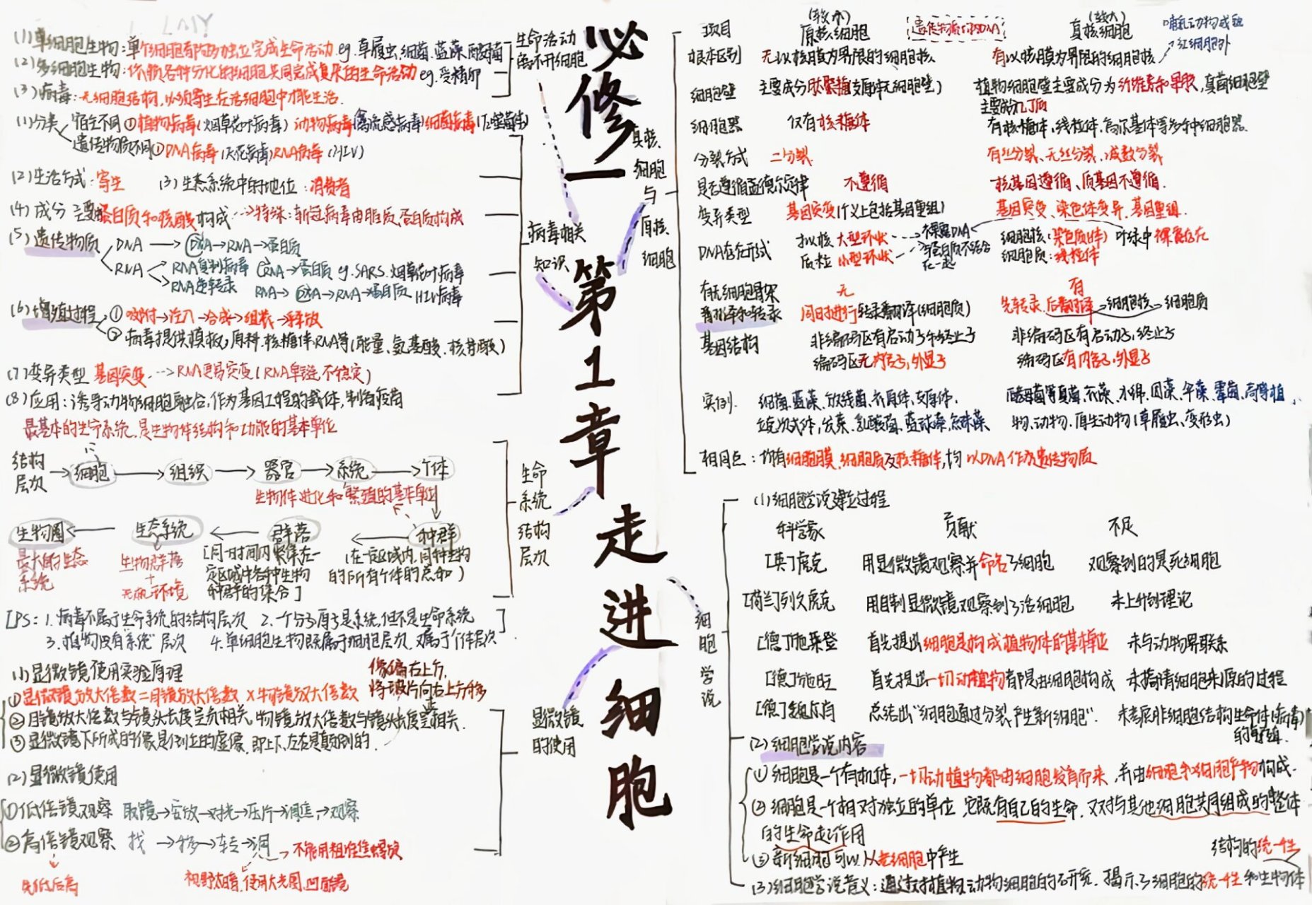 走进细胞思维导图图片