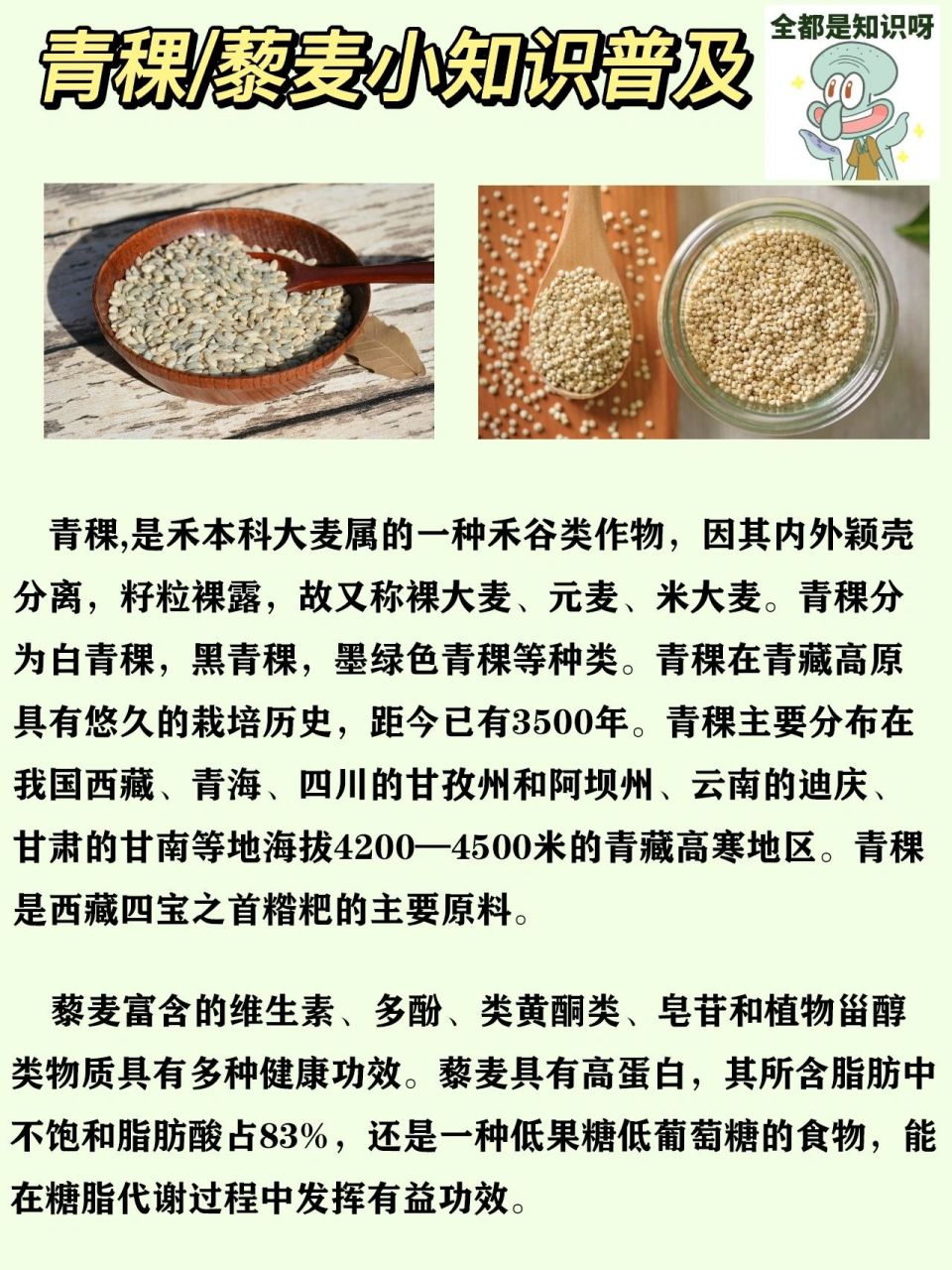 青稞/藜麦知识分享90 青稞,是禾本科大麦属的一种