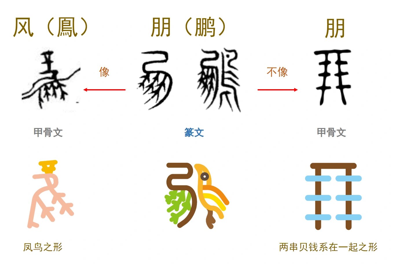 "鹏"字左边不是朋|甲骨文学习