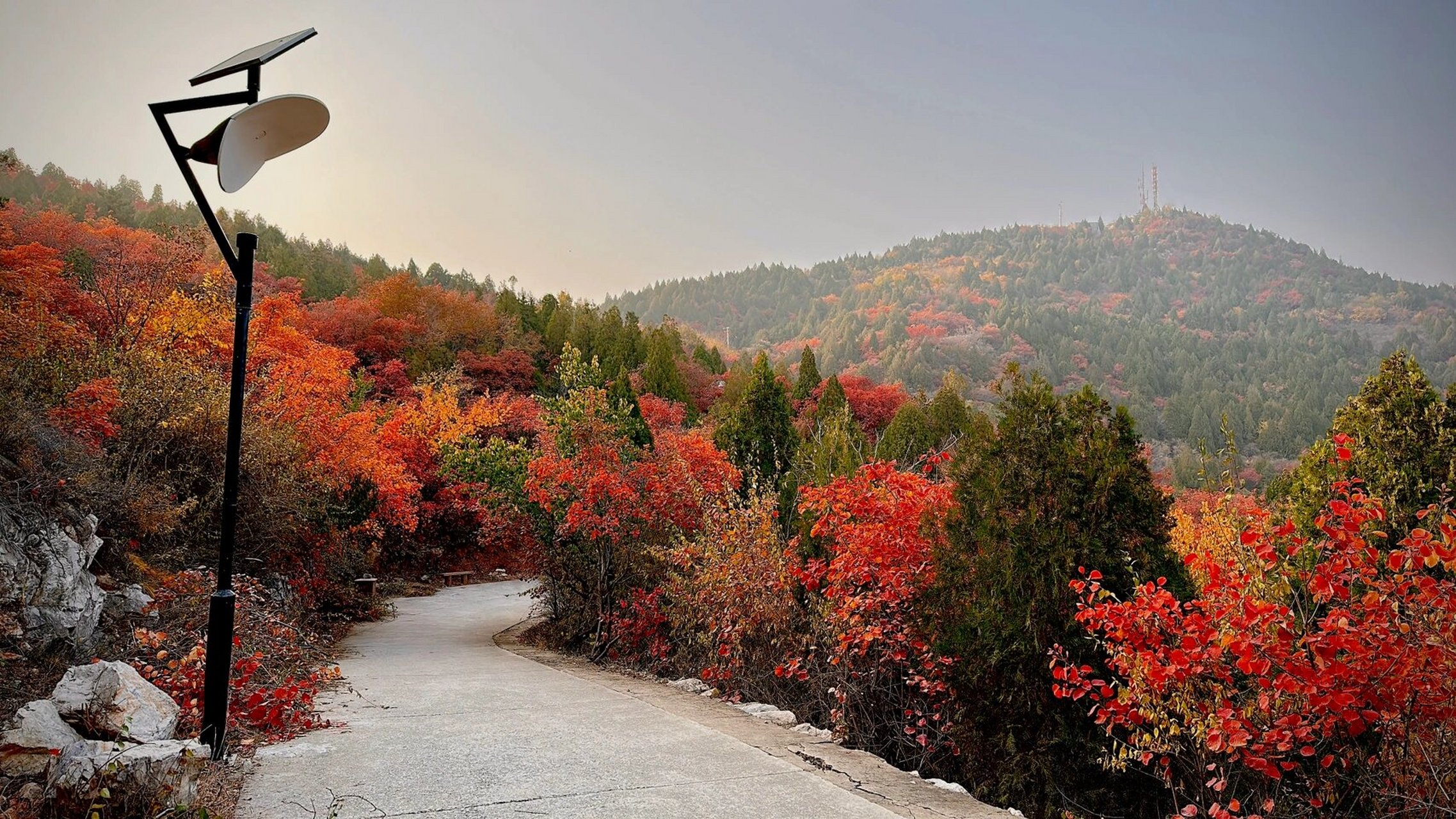 21徒步|天津蓟州赏红叶|府君山鹰嘴崖 回天津啦～解除隔离啦～ 正好是