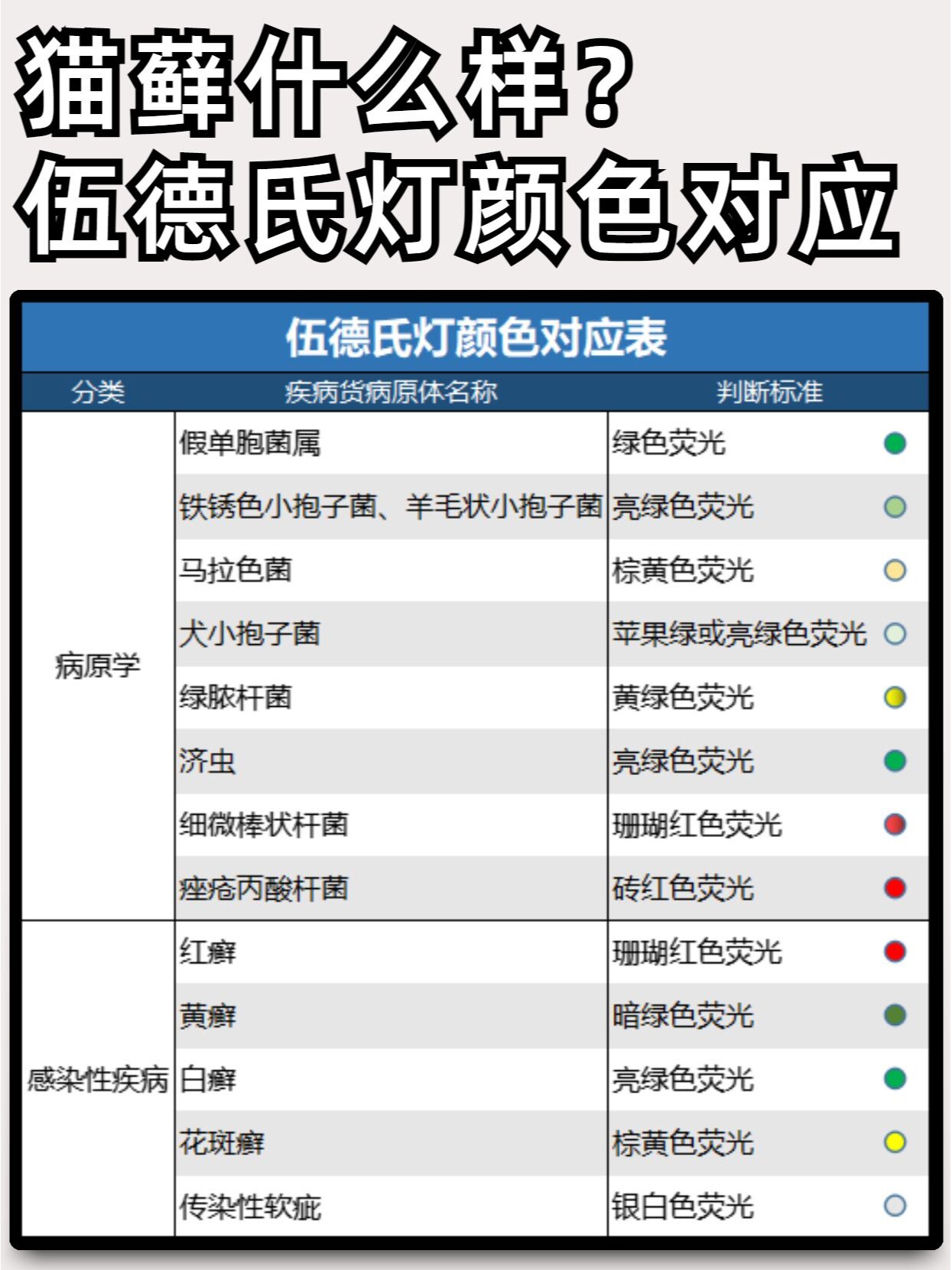 紫外线灯下猫癣的颜色图片