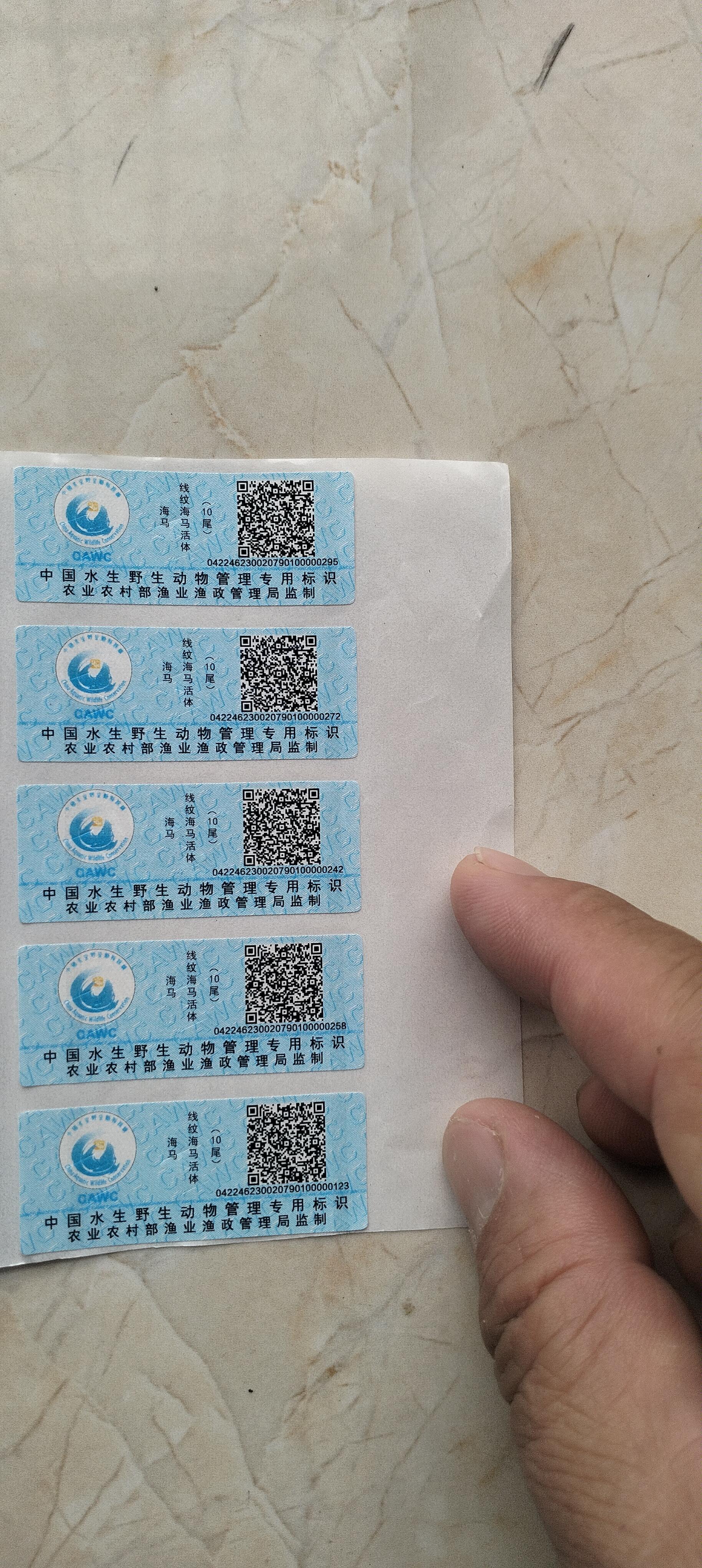 海马是一种海洋生物,主要分布在世界各大洋的浅海中,包括中国的南海