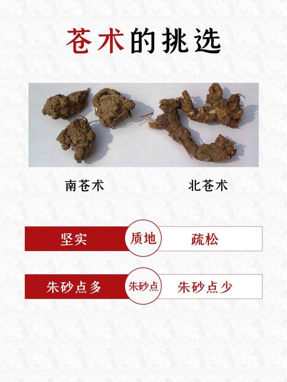 每天认识一味中药~苍术 🌺别名:赤术,枪头菜,马蓟,青术,仙术,山精