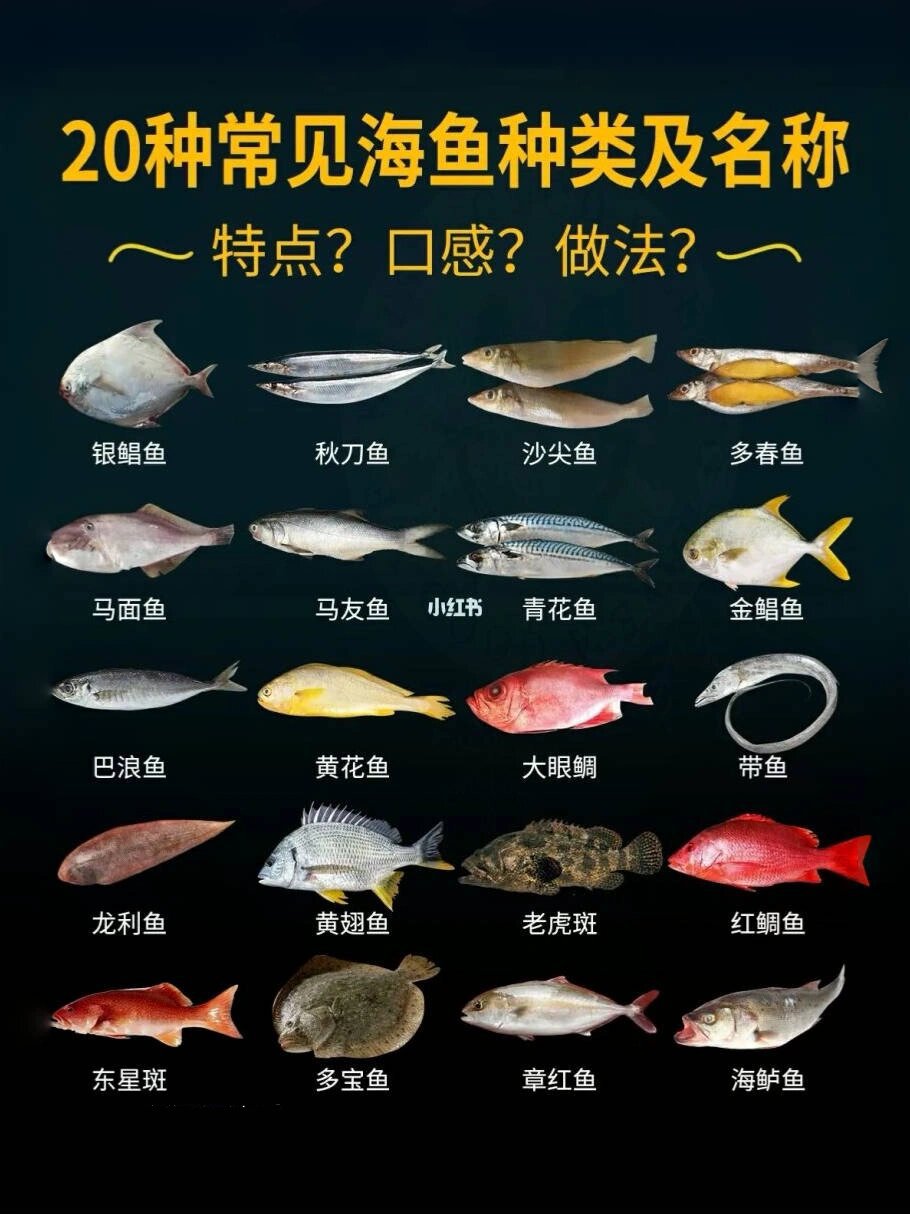 海鲜市场常见20种鱼类大全与家常做法