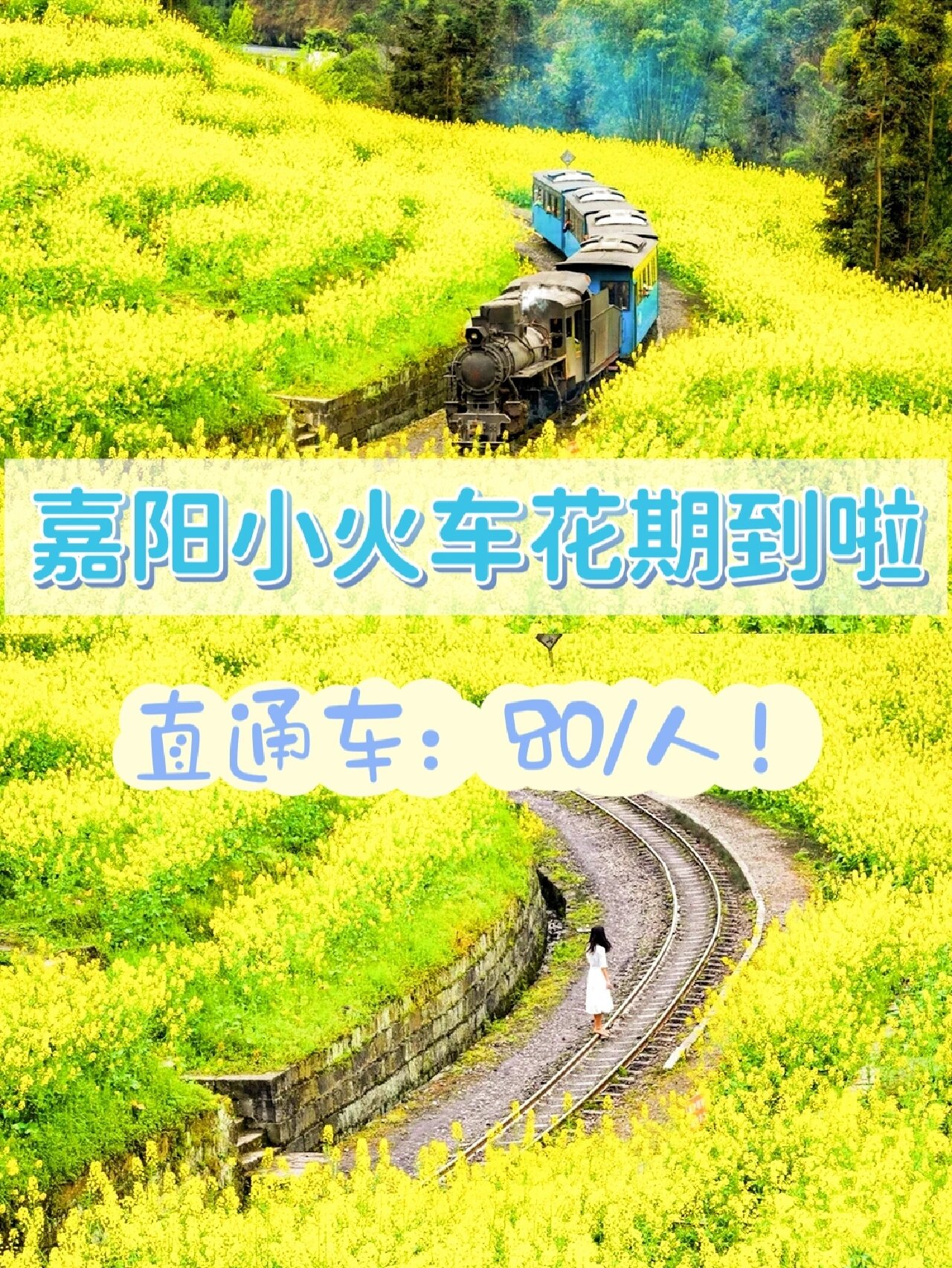 接下来的嘉阳小火车油菜花!内附攻略