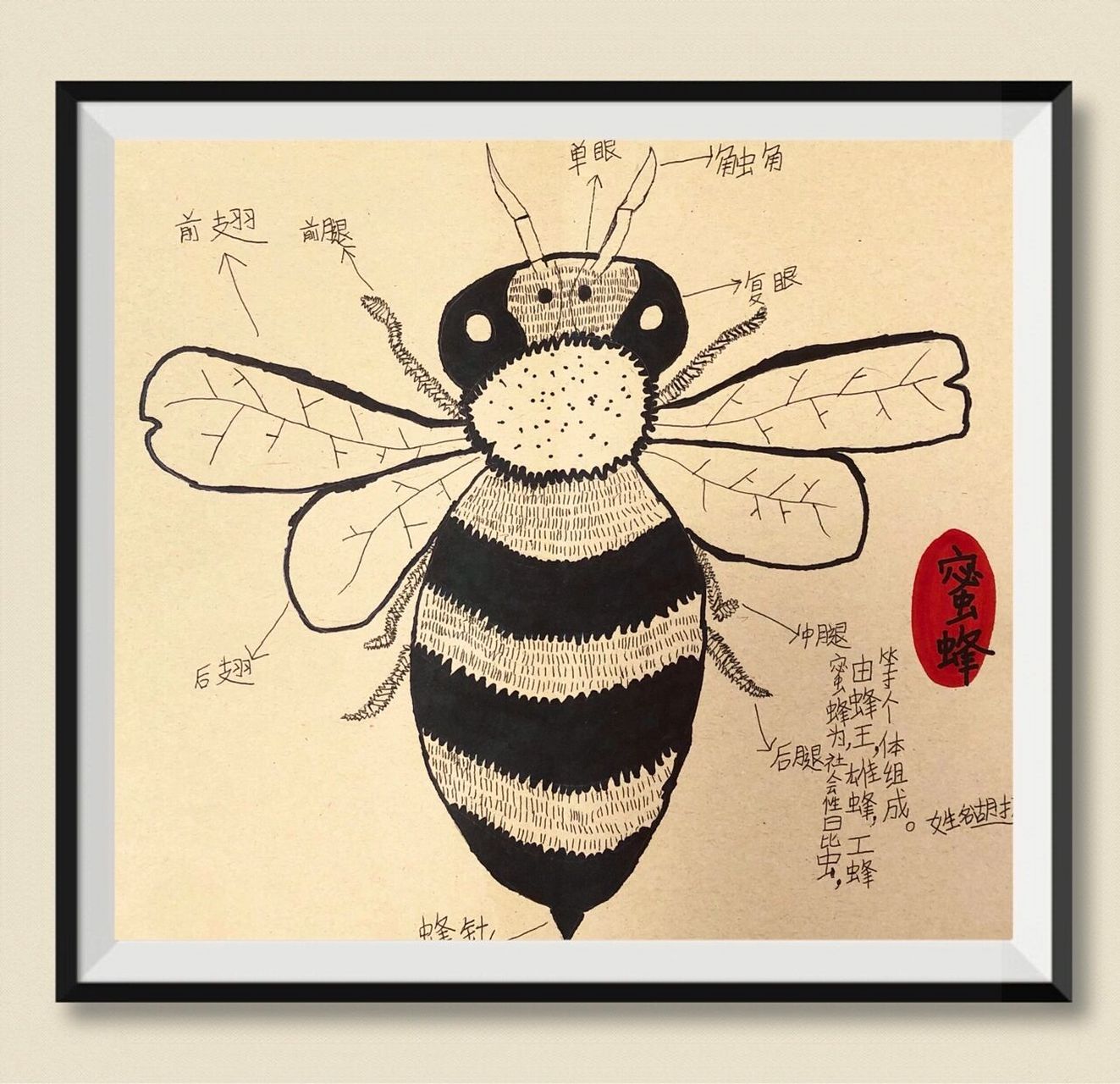 昆虫记·蜜蜂 【新艺代美术】6