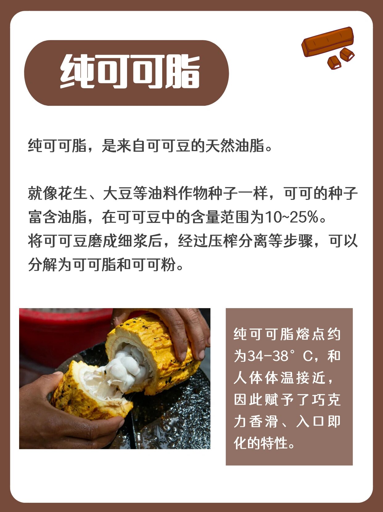 大豆磷脂代可可脂图片