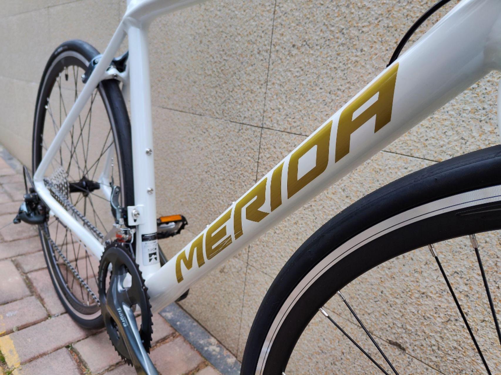 24款斯特拉king.全新涂装,性价比之选 骑行