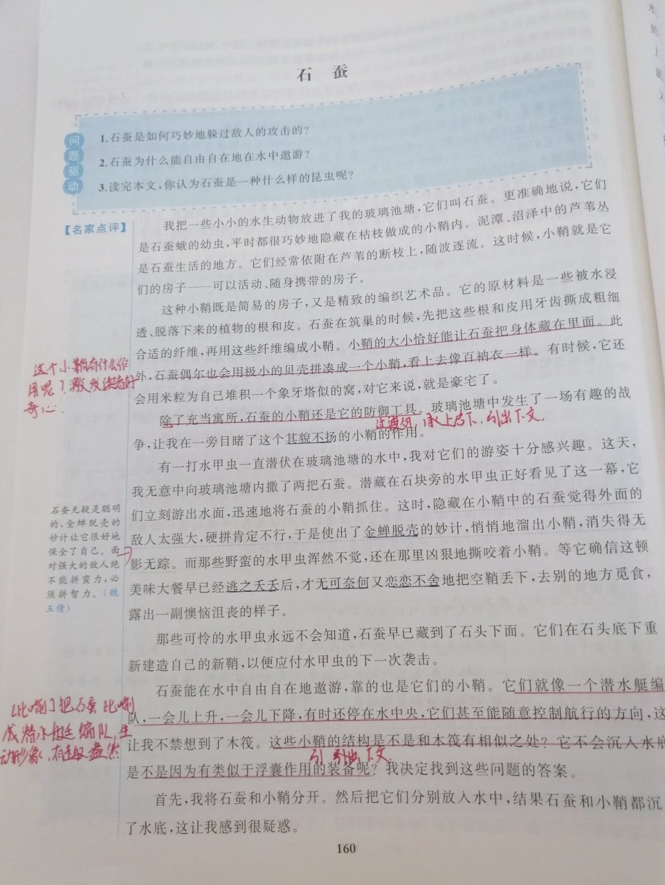 《昆虫记》石蚕章节批注 《昆虫记》石蚕章节批注 来啦,《昆虫记》