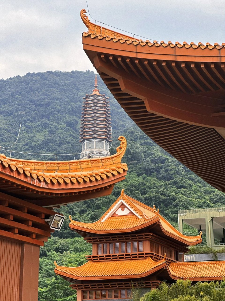 深圳仙湖植物园98|弘法寺96 秋意正浓95感受一下大自然的美