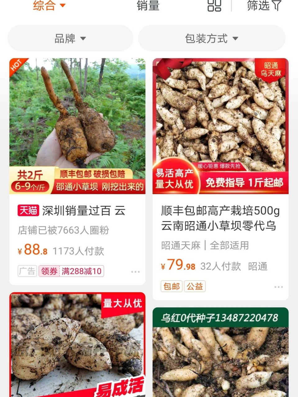 凉拌天麻苗图片