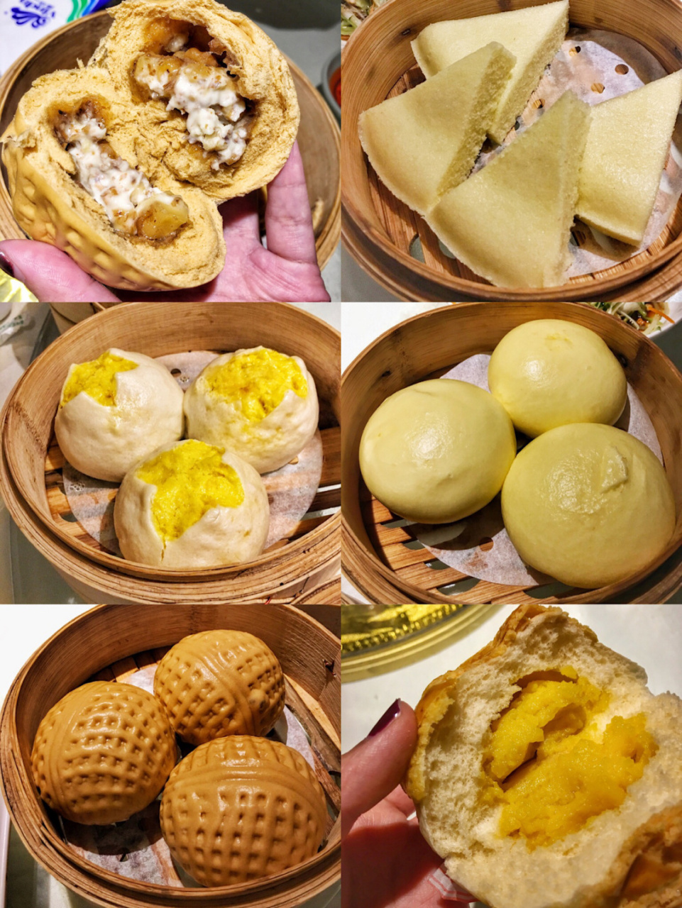 北海高性价比的新鲜早茶6015不是半成品6015 御姐北海探店/鼎