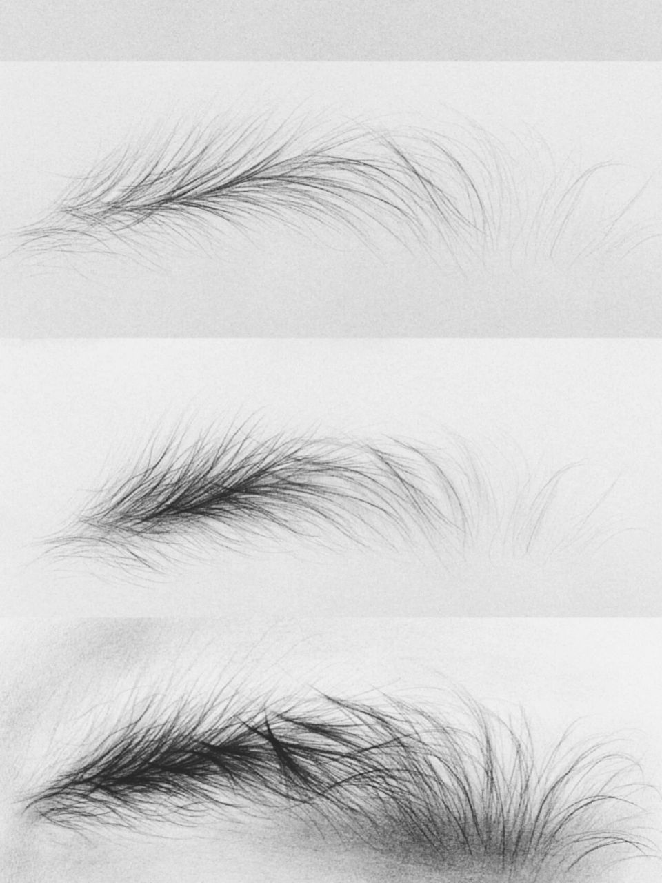 素描野生眉合集 9799速收藏 所有的线条大师都是会画一手素描眉的