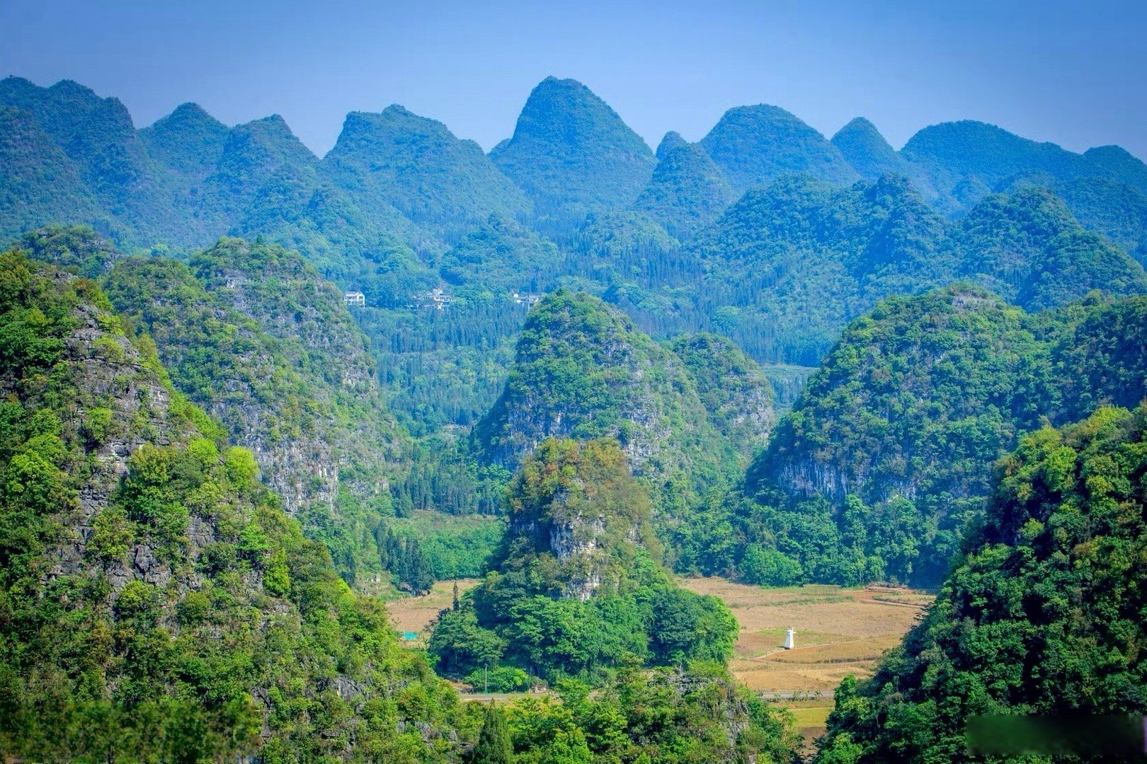 贵州春天旅游去哪好(贵州春季旅游)
