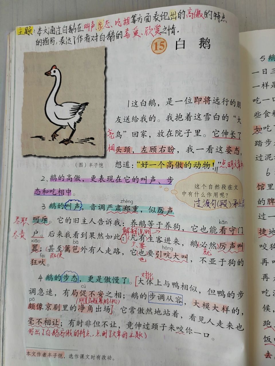 四年级下册语文第15课《白鹅》课文笔记