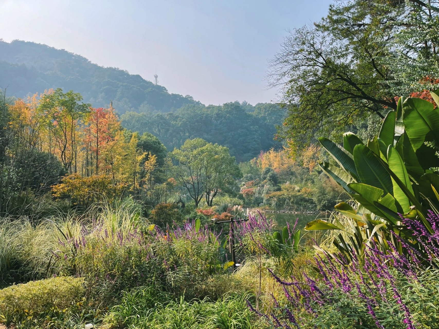 北碚缙云山黛湖 22年10月22号的黛湖秋色,想念了一年,已经开始天天在