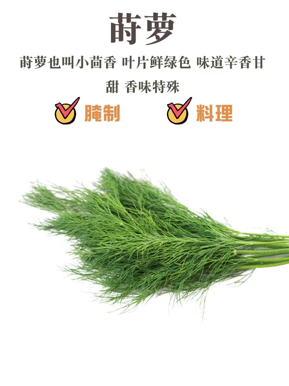 一般来说,香草指用叶子和茎的调味料,香料用种子和硬质的皮.