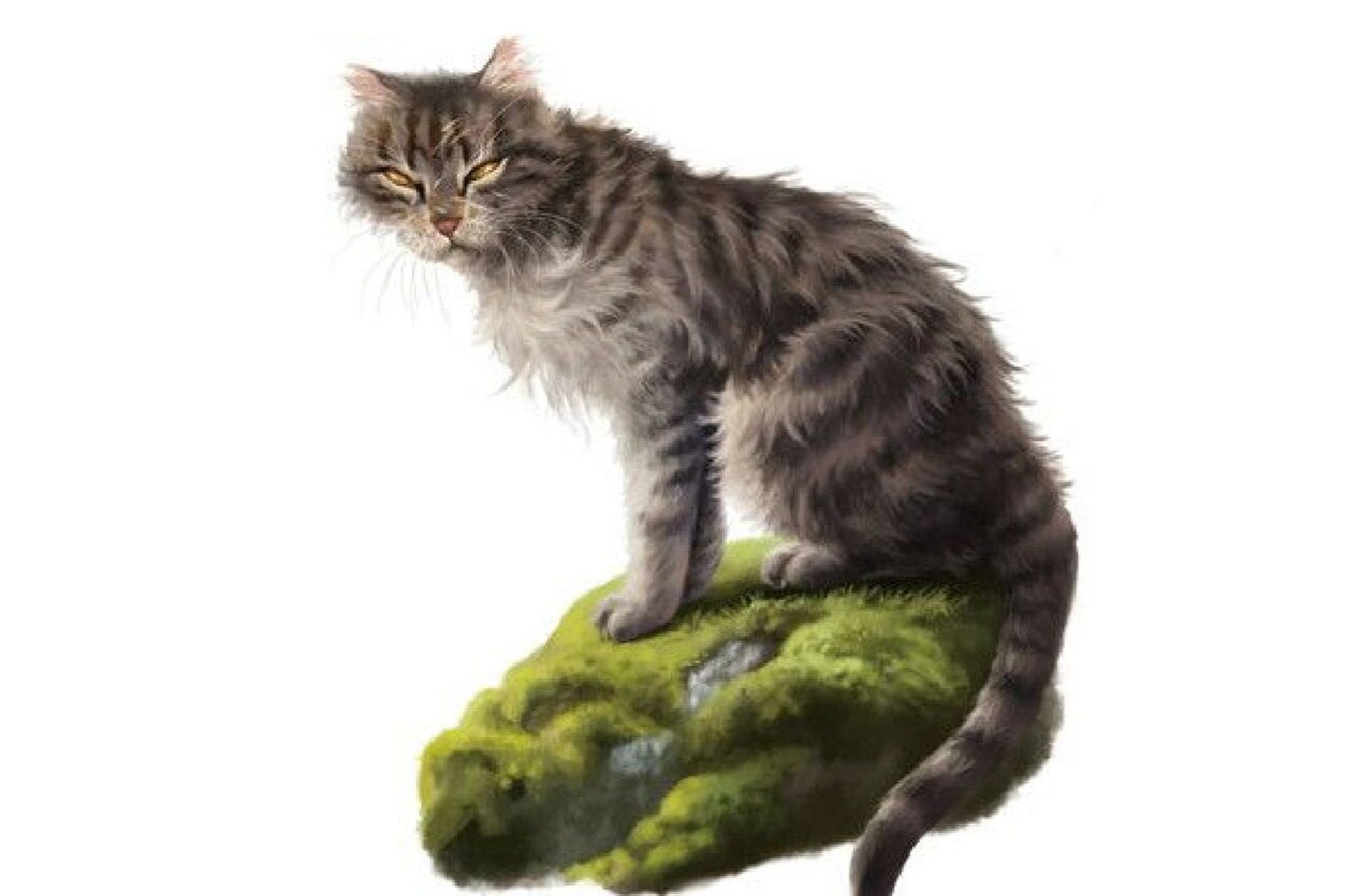 猫武士最令人心痛的反派评选 猫武士中最令人痛心的反派评选,根据自己
