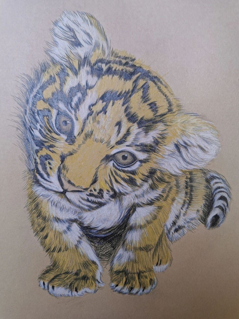 一只小老虎手绘彩铅插画(附步骤) 马上虎年啦!来画个小老虎吧!