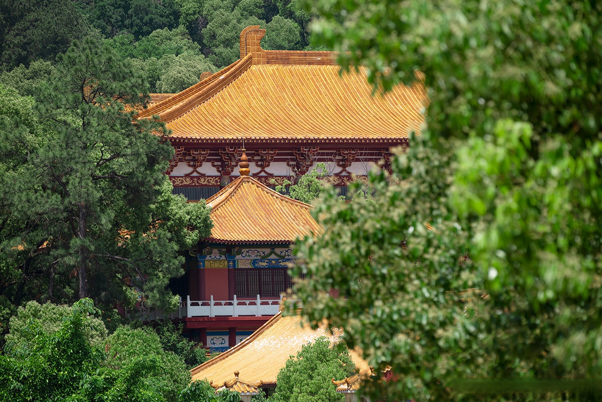 武漢的嵩陽寺,花木蔥鬱,晨鐘暮鼓,香菸繚繞.