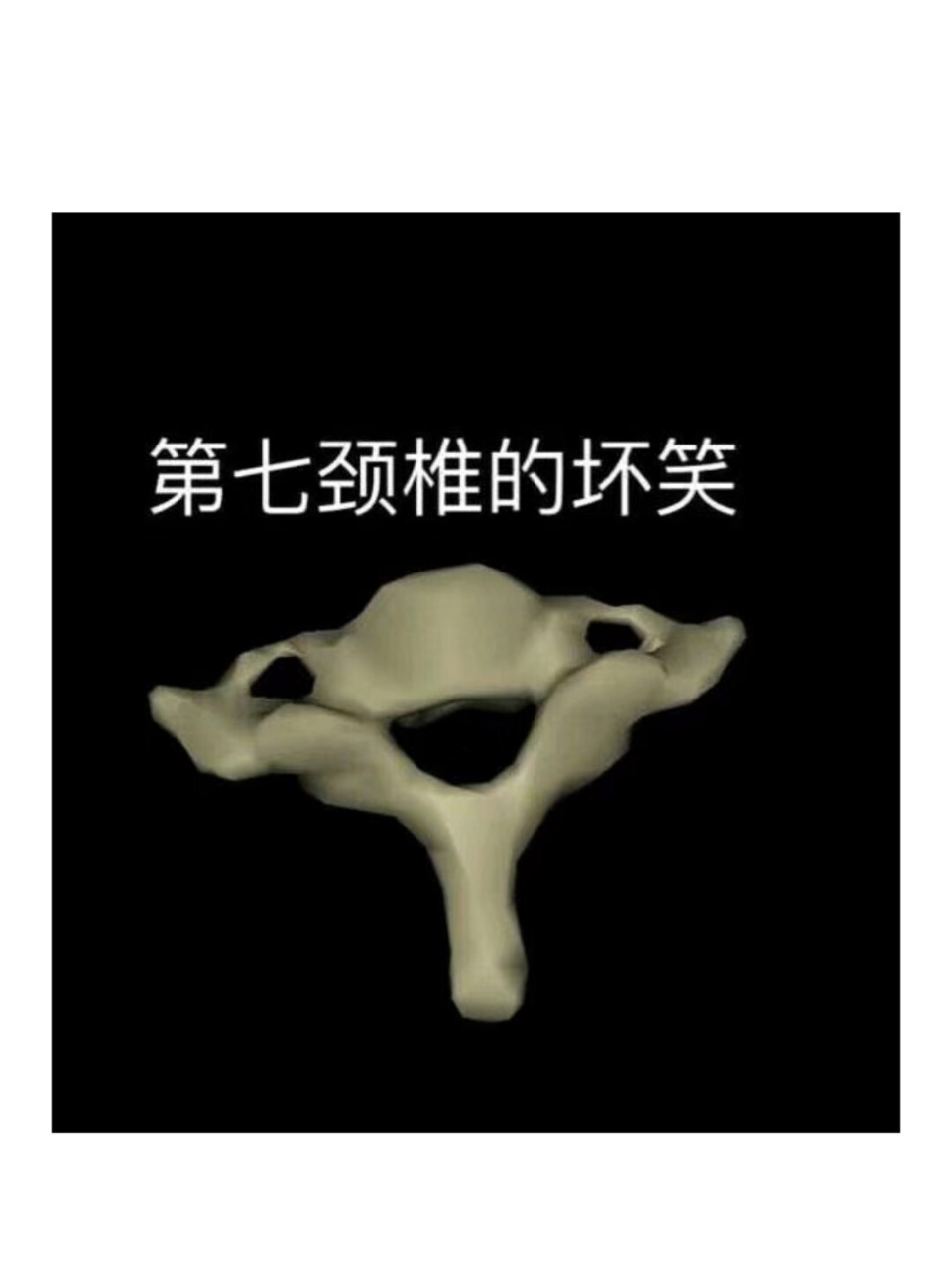 各种笑的表情包 身体上各种椎的不同笑.