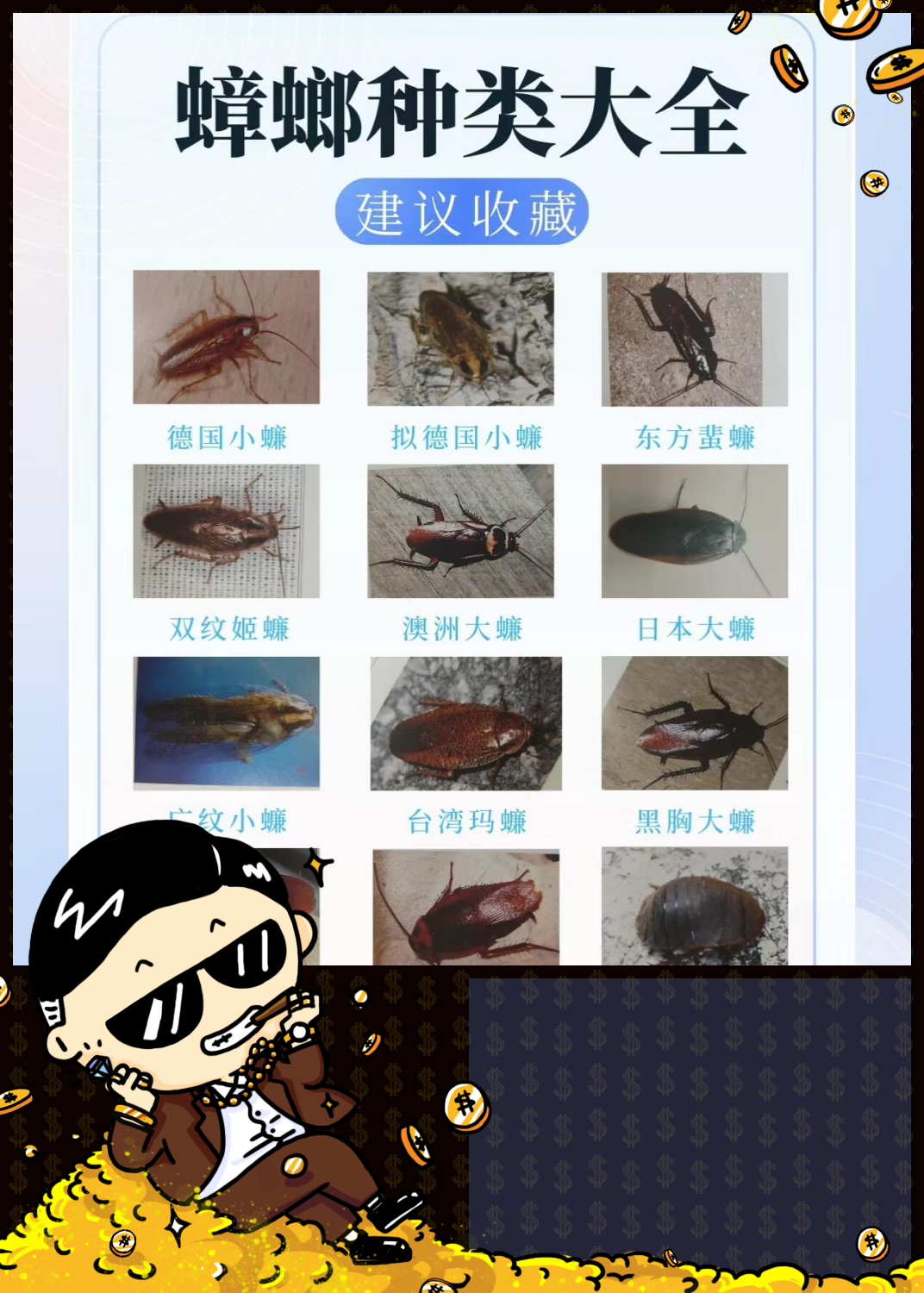 为什么家里总有蟑螂百科在线