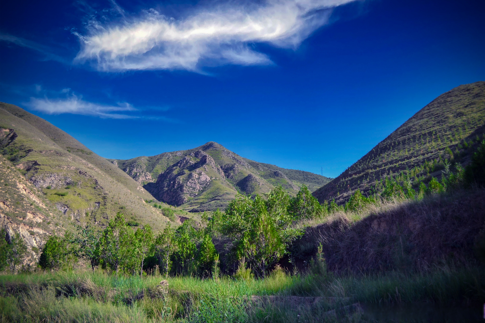 铁木山为会宁境内最高点,也是会宁县唯一的天然林景区.