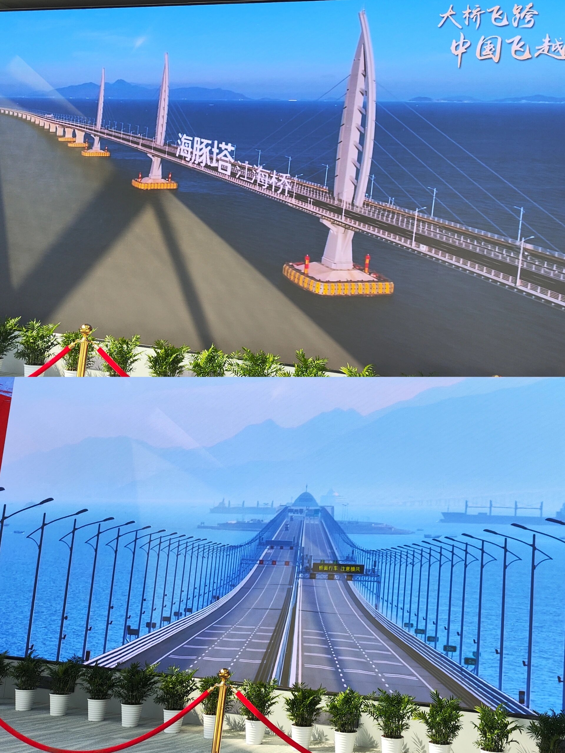 凭身份证可上港珠澳大桥 海底隧道蓝海豚岛