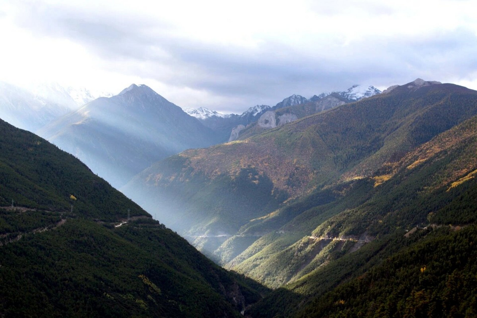稻城俄初山的灿烂秋景! 图片拍摄于三四天前的一个黄昏 一个上午.
