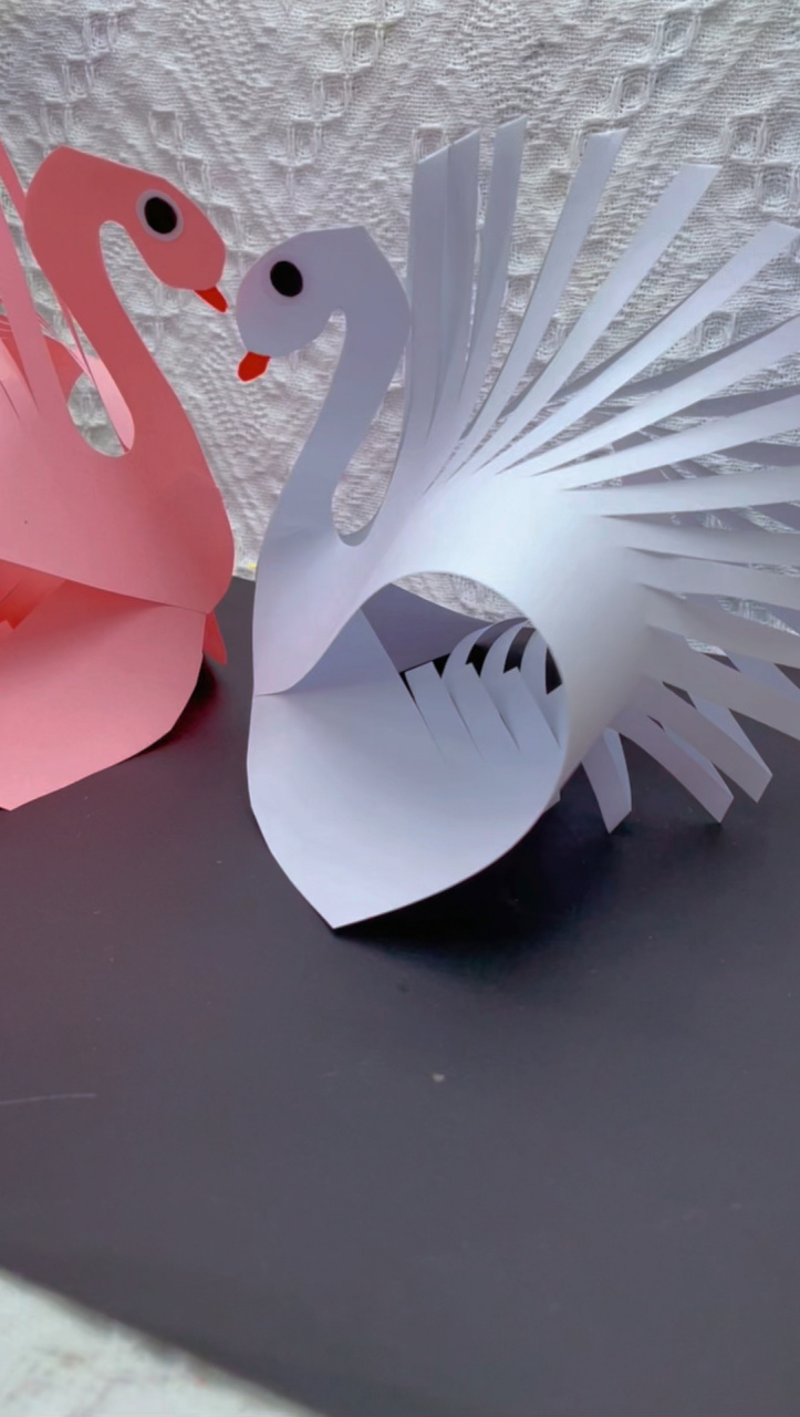 白天鹅剪纸 给她孩子画一个漂亮的立体天鹅剪纸画,和他一起剪出来,让