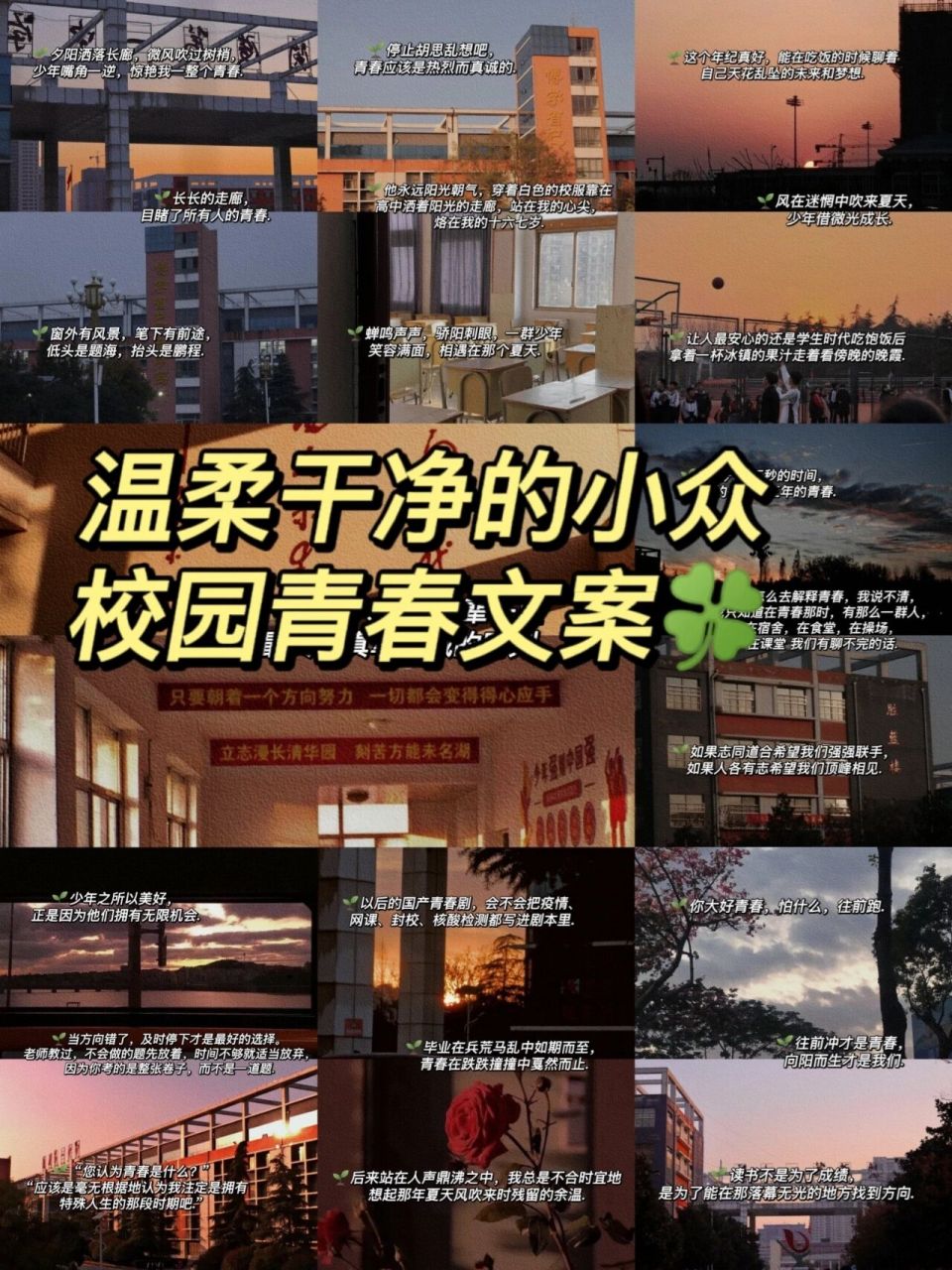 92温柔干净的小众校园青春文案92 哈喽各位,在下檀同学,很高兴能