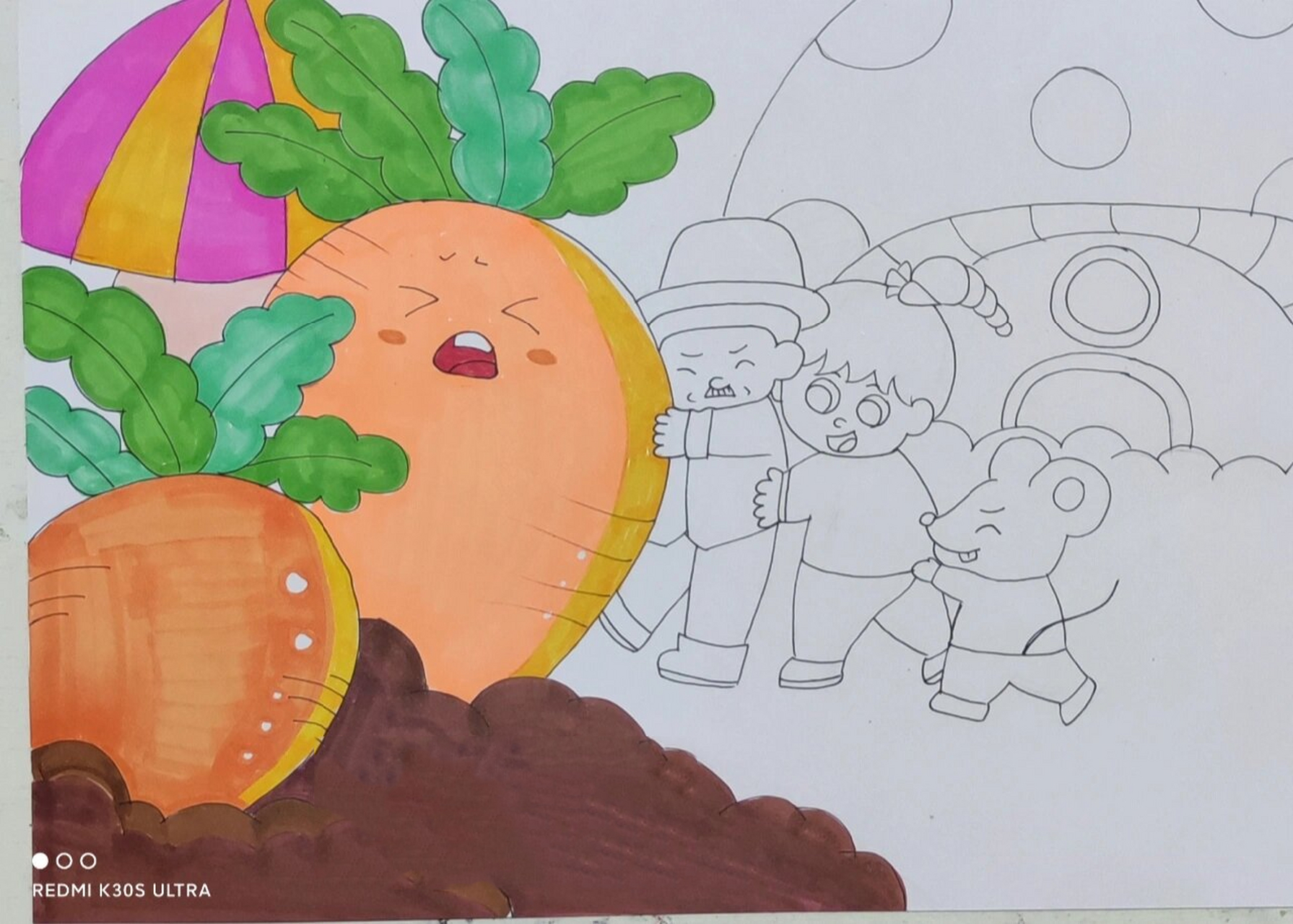 儿童绘画 拔萝卜 拔萝卜  天空没有涂颜色 有一些小细节也没有画 临摹