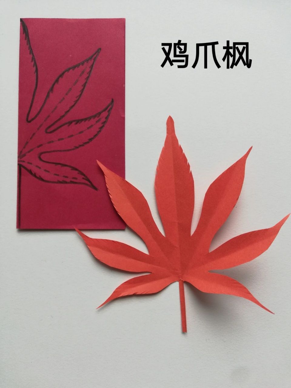 树叶剪纸 简单图片